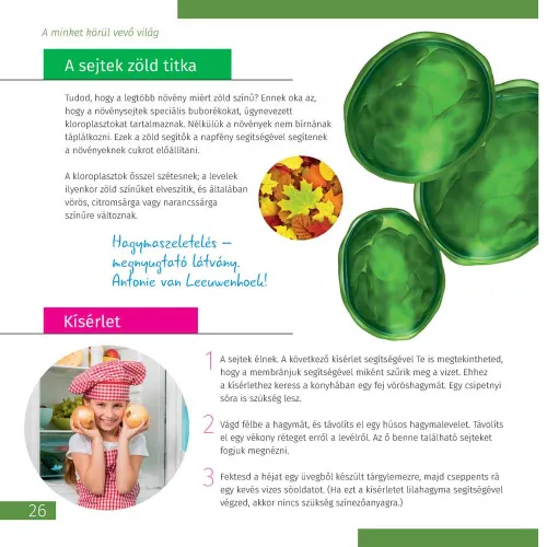 картинка микроскоп Levenhuk Discovery Micro с книга,  7