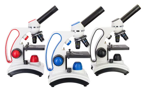 картина микроскоп Levenhuk Discovery Pico,  2