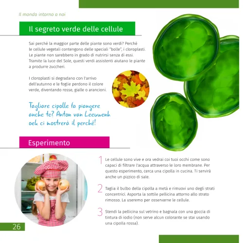 картина микроскоп Levenhuk Discovery Pico,  7