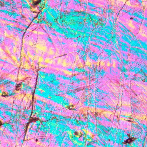 фотография металургичен инвертиран микроскоп MAGUS Metal V700 DIC,  16