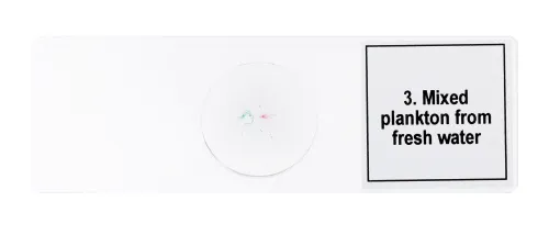 картина набор от микропрепарати Levenhuk Discovery Prof DPS 5. „Живот в капка вода“,  7