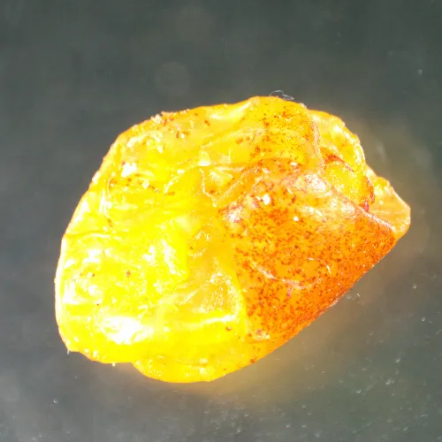 изображение стереомикроскоп MAGUS Stereo A8,  15