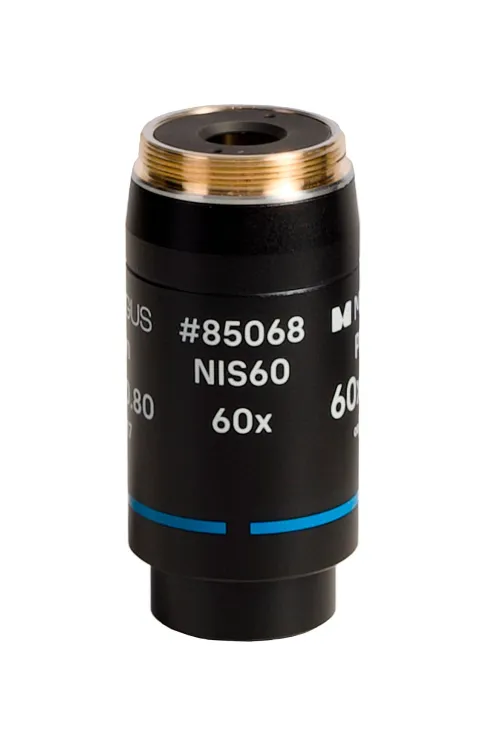 картина обектив MAGUS 60PL60 Plan 60х/0,80 ∞/0,17 H 60 mm,  2