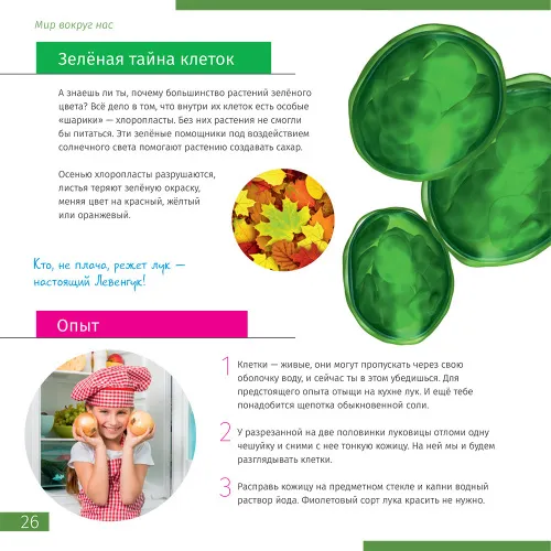 картинка микроскоп Levenhuk Discovery Nano,  7