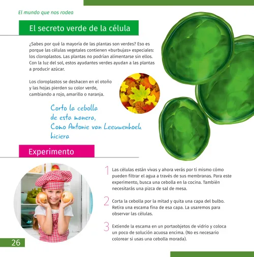 картина микроскоп Levenhuk Discovery Pico,  7