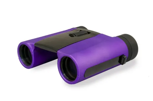 картина бинокли Levenhuk Rainbow 8x25,  2