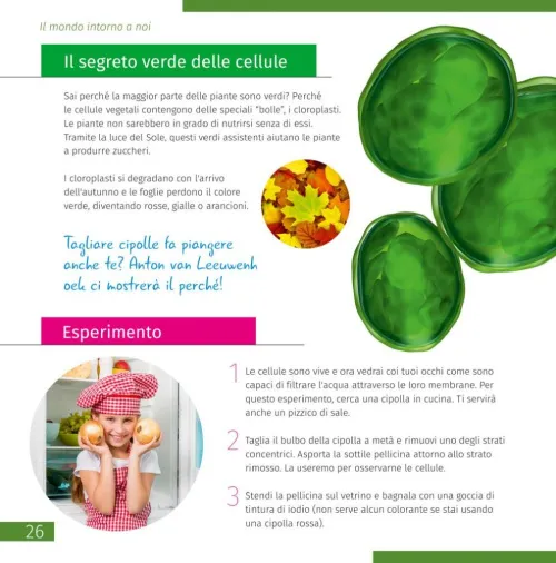 картинка микроскоп Levenhuk Discovery Micro с книга,  7