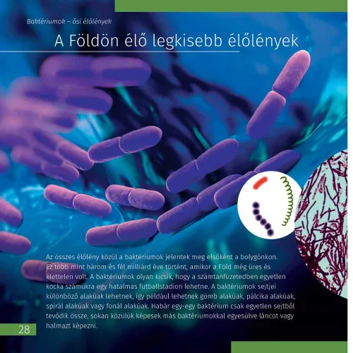 изображение познавателна книга „Невидимият свят“,  5