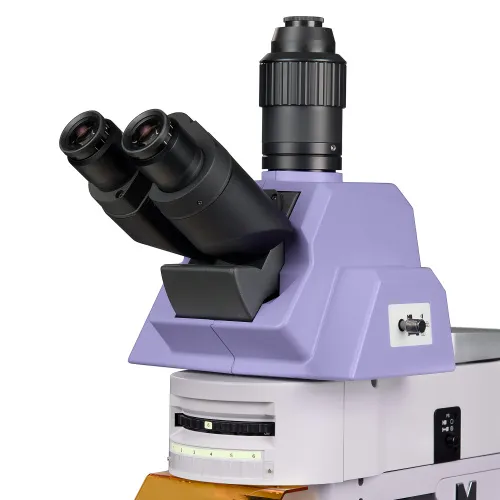 снимка флуоресцентен микроскоп MAGUS Lum 490L,  10