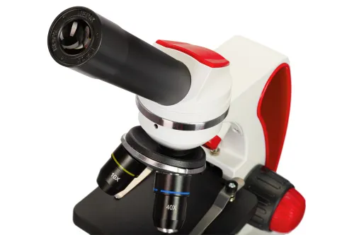 картина микроскоп Levenhuk Discovery Pico,  10