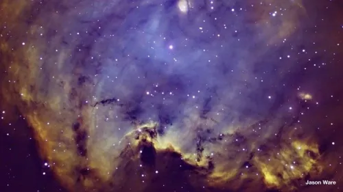 изображение meade LX850 14" F/8 ACF OTA,  10