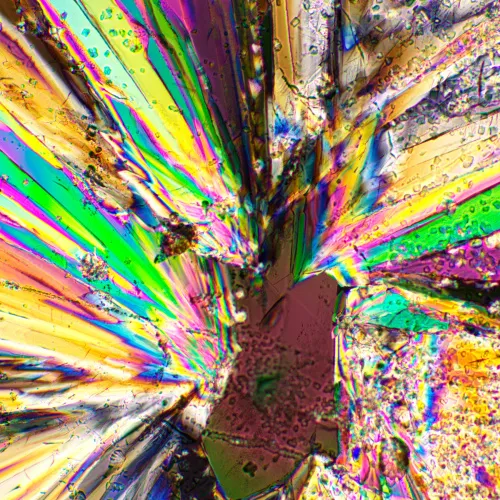 снимка комплект поляризатор/анализатор MAGUS SPD1,  3