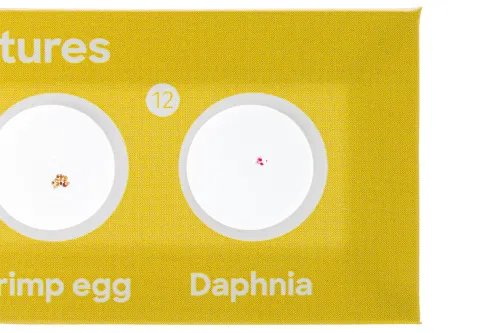 картина комплект подготвени проби Levenhuk Discovery Fauna 12,  7