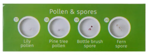 фотография комплект подготвени проби от живи същества и растения Levenhuk LabZZ CP24,  6