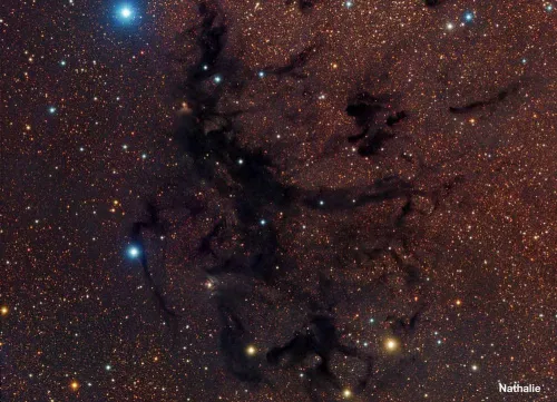 фотография meade LX200 14" F/10 ACF OTA,  4