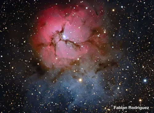 изображение meade LX850 12" F/8 ACF OTA,  5