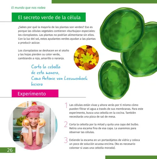 картинка микроскоп Levenhuk Discovery Micro с книга,  7