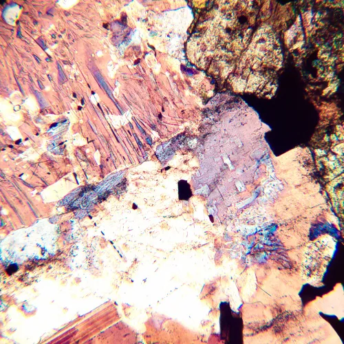 фотография поляризационен цифров микроскоп MAGUS Pol D800 LCD,  22