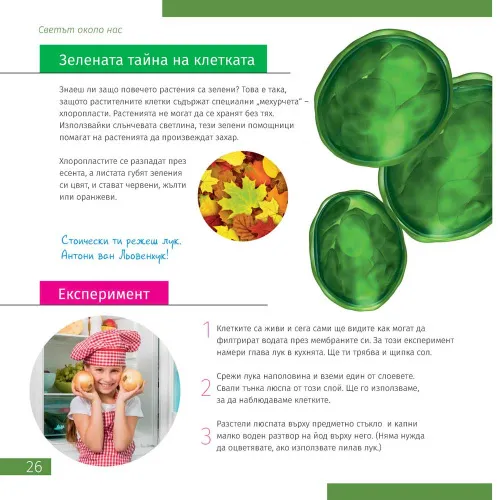 картина микроскоп Levenhuk Discovery Pico,  7