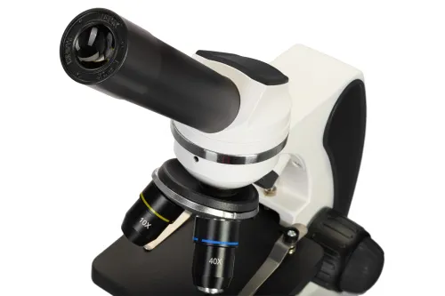 картина микроскоп Levenhuk Discovery Pico,  10