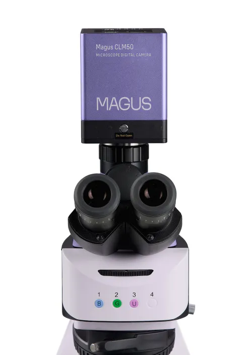 картина флуоресцентен цифров микроскоп MAGUS Lum D460L,  11