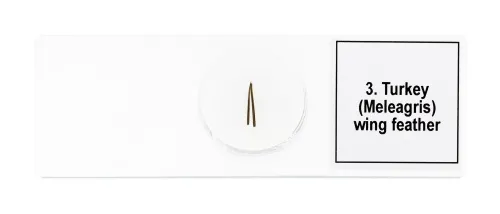 изображение набор от микропрепарати Levenhuk Discovery Prof DPS 5. „Птици“,  7