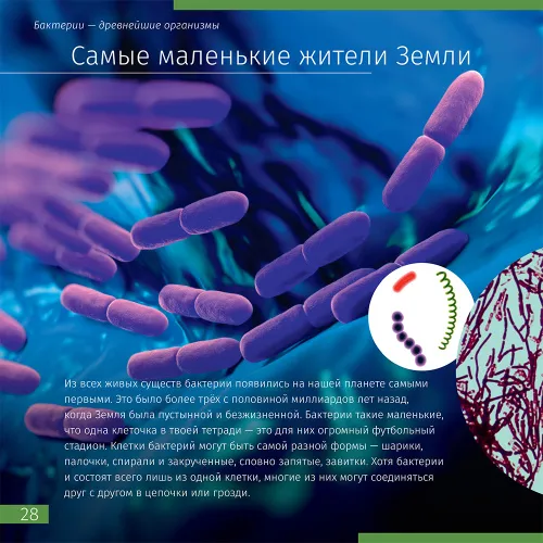 изображение познавателна книга „Невидимият свят“,  5