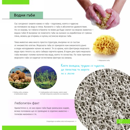 изображение познавателна книга „Невидимият свят“,  7