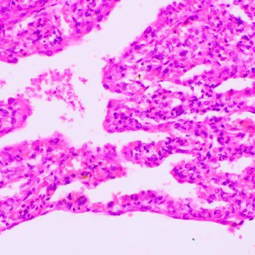 картинка биологичен микроскоп MAGUS Bio 270T,  23