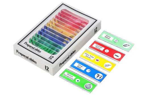 картина цифров микроскоп Levenhuk LabZZ DM200 LCD,  13