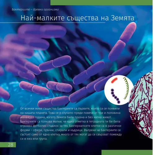 изображение познавателна книга „Невидимият свят“,  5