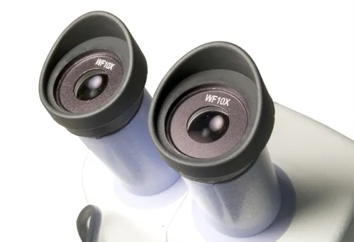 картинка микроскоп Levenhuk 5ST,  6