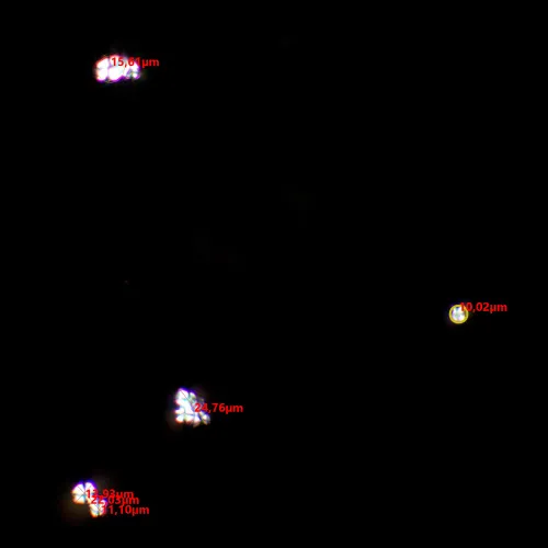 снимка комплект поляризатор/анализатор MAGUS SPD1,  8