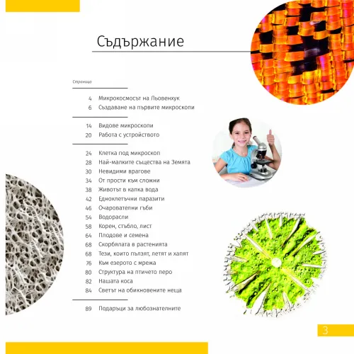 картина микроскоп Levenhuk Discovery Pico,  6