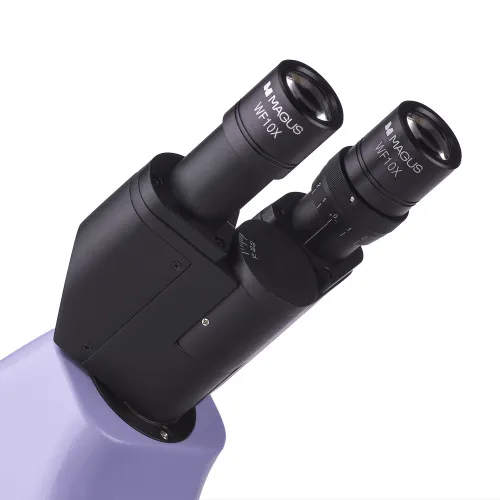 картина биологичен микроскоп MAGUS Bio 230B,  11