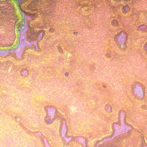 картина металургичен инвертиран микроскоп MAGUS Metal V790 DIC,  22