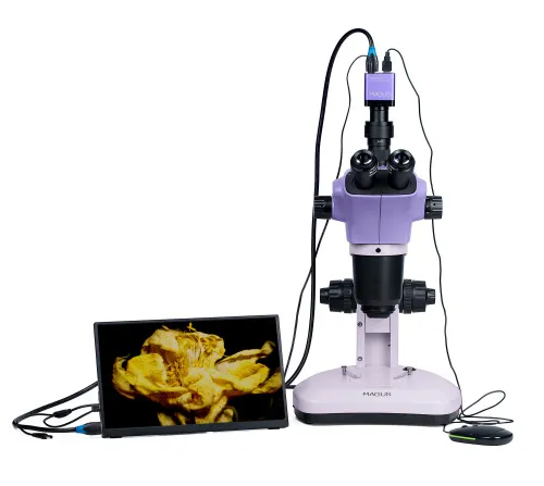 картина стереомикроскоп цифров MAGUS Stereo D9T LCD,  6