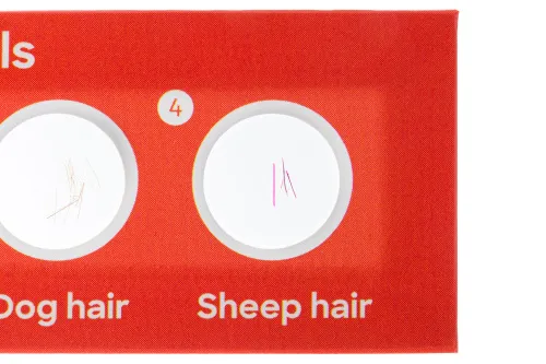 картина комплект подготвени проби Levenhuk Discovery Fauna 12,  4