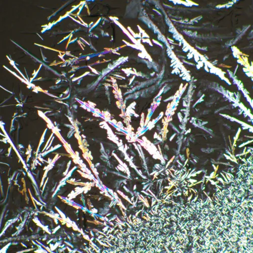 снимка комплект поляризатор/анализатор MAGUS SPD1,  6