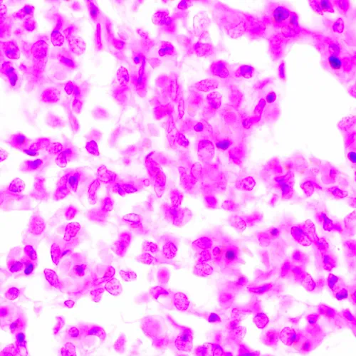 картинка биологичен микроскоп MAGUS Bio 270T,  24