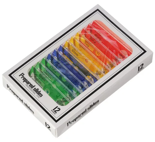 картина цифров микроскоп Levenhuk LabZZ DM200 LCD,  12