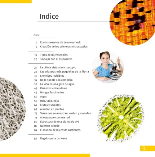 картинка микроскоп Levenhuk Discovery Micro с книга,  6