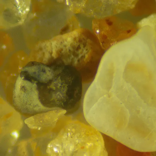 картина стереомикроскоп цифров MAGUS Stereo D9T LCD,  27