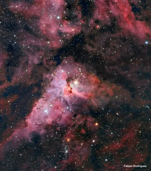 изображение meade LX850 12" F/8 ACF OTA,  8