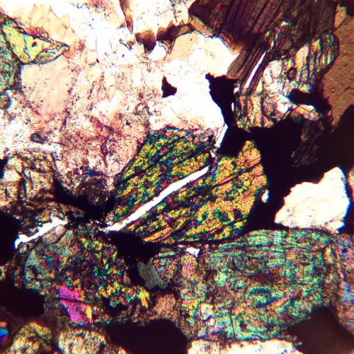 фотография поляризационен микроскоп MAGUS Pol 890,  24