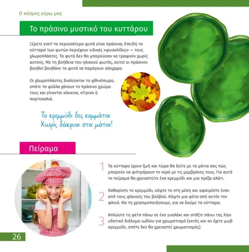 картинка микроскоп Levenhuk Discovery Micro с книга,  7