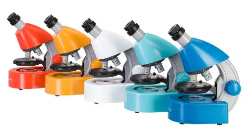 картинка микроскоп Levenhuk Discovery Micro с книга,  3