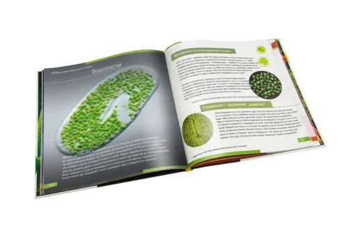 снимка познавателна книга „Невидимият свят“. С твърди корици,  9