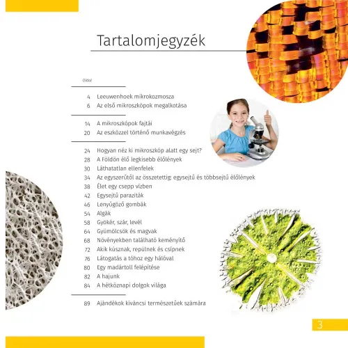 картинка микроскоп Levenhuk Discovery Micro с книга,  6