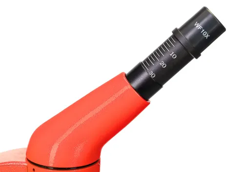 фотография микроскоп Levenhuk Rainbow 50L,  12